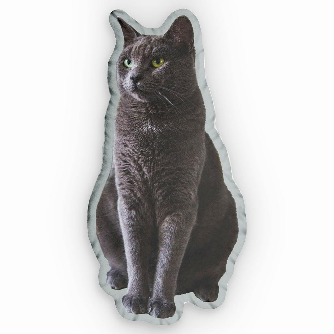 personalisiertes fotokissen formkissen katze grau