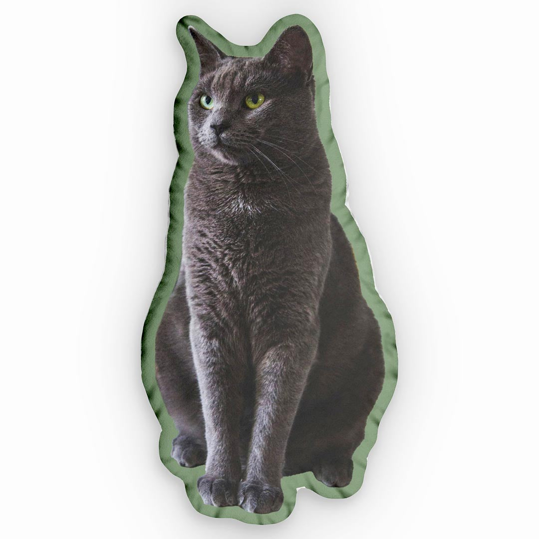 personalisiertes fotokissen formkissen katze grün