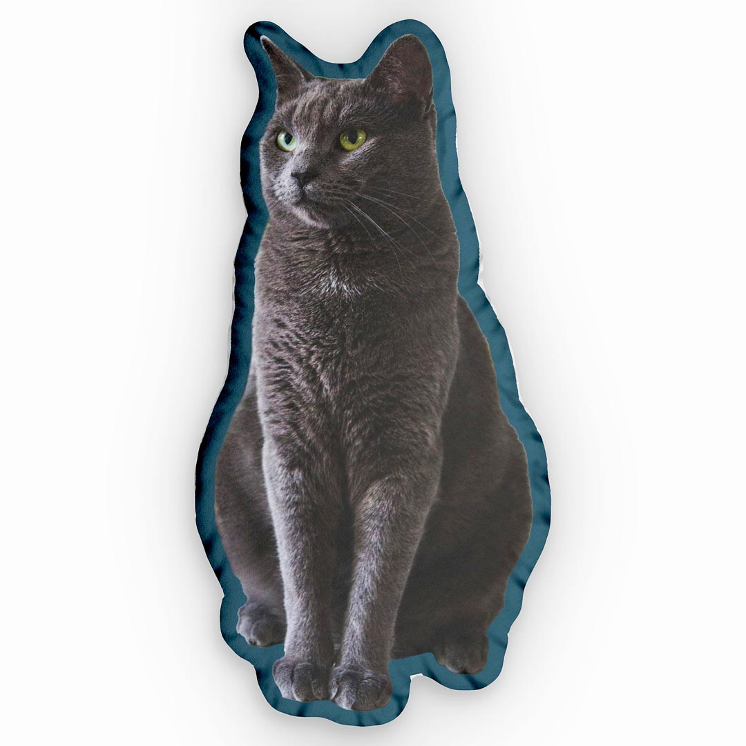 personalisiertes fotokissen formkissen katze petrol