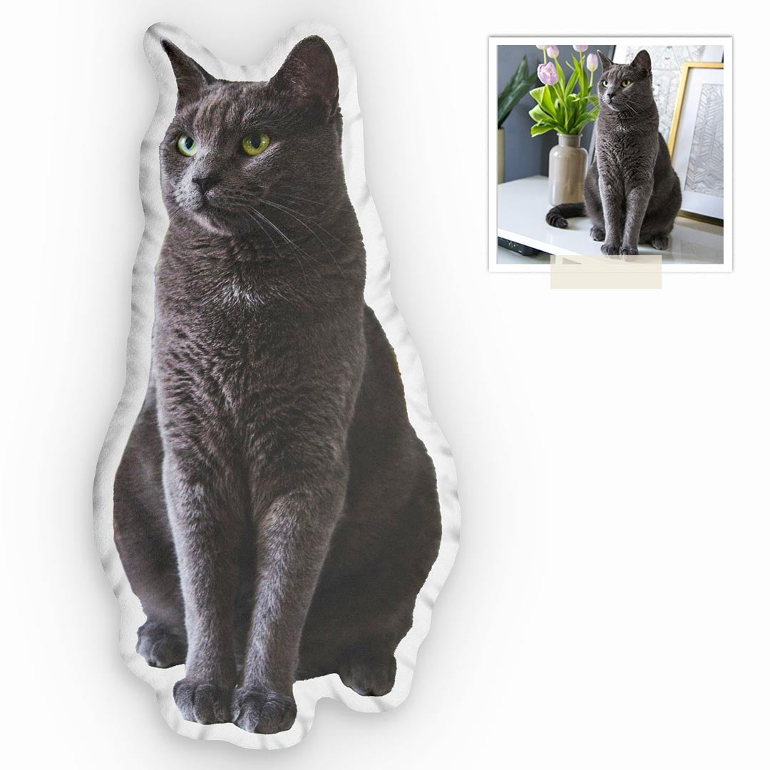 Individuelles Katzenkissen mit freigestelltem Katzenfoto