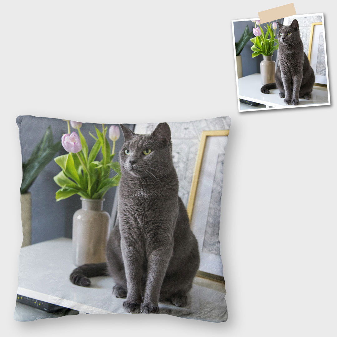 fotokissen mit haustier