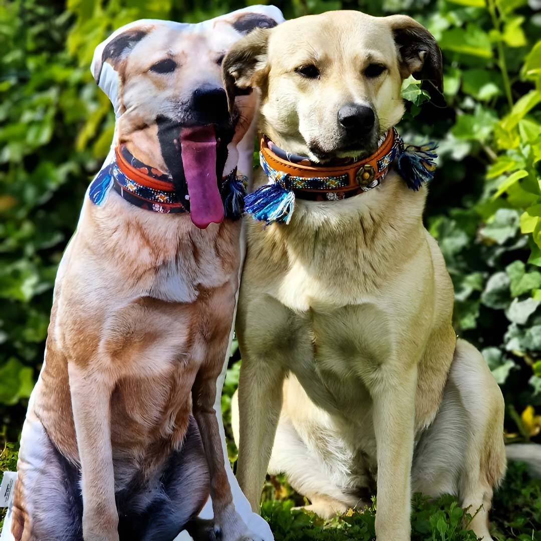 geschenkidee hundebesitzer kissen