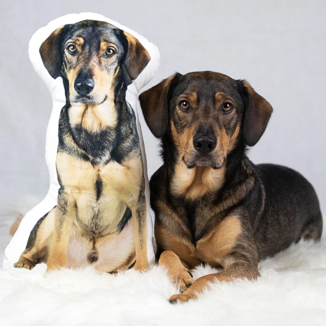 personalisiertes hundekissen foto