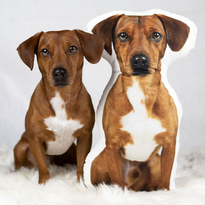 personalisiertes fotokissen mit hund